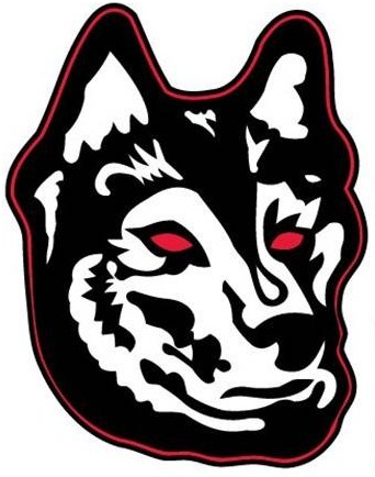 Northeastern Huskies 2007-Pres Alternate Logo v2 diy DTF decal sticker